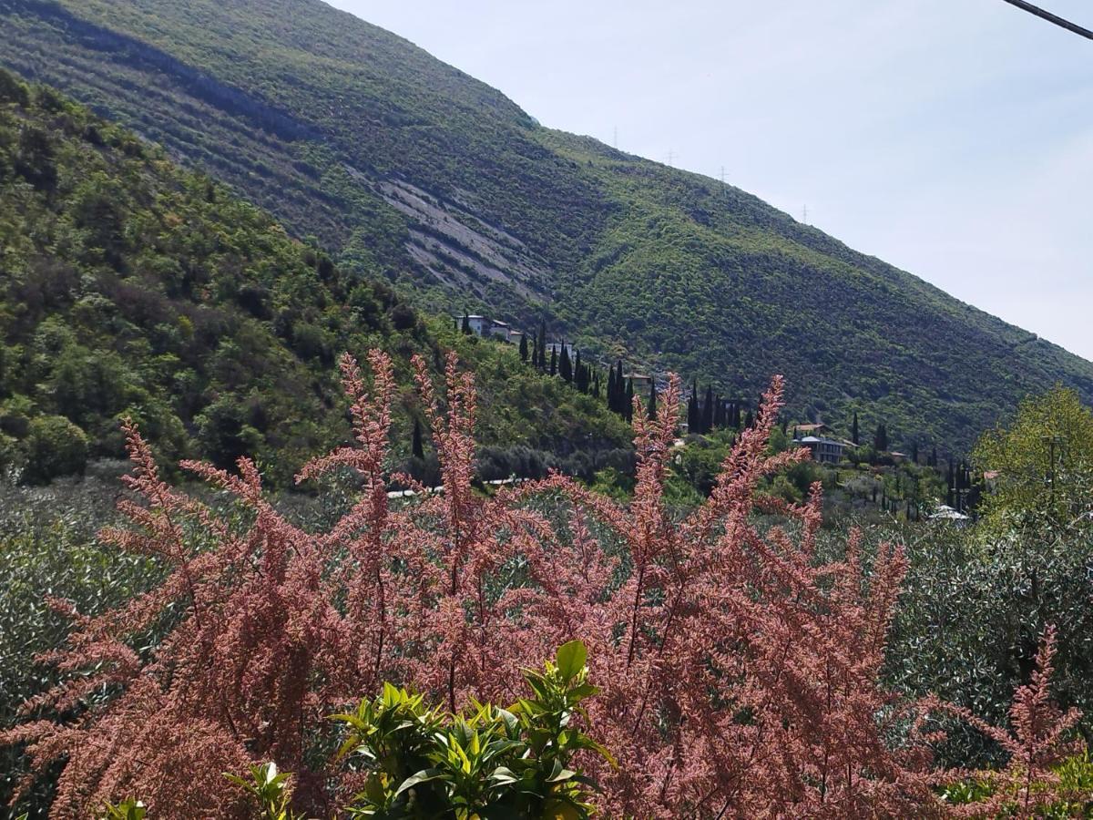 Casa Di Nin Apartment Torbole Sul Garda Ngoại thất bức ảnh