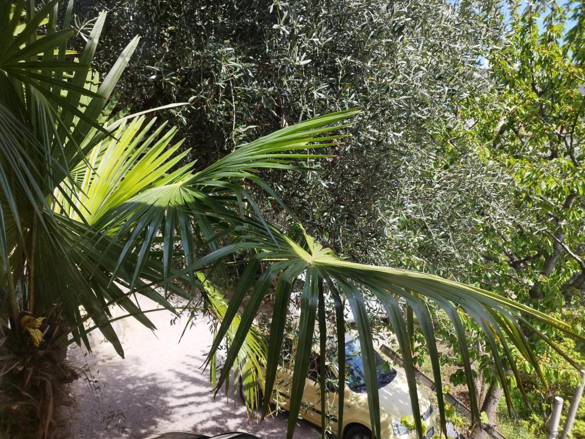 Casa Di Nin Apartment Torbole Sul Garda Ngoại thất bức ảnh